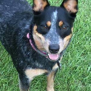 Meet your Posher, Mary